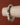 Picture Jasper gemstone bracelet featuring natural earthy-toned beads and 925 sterling silver star accent beads on a stretch cord.
